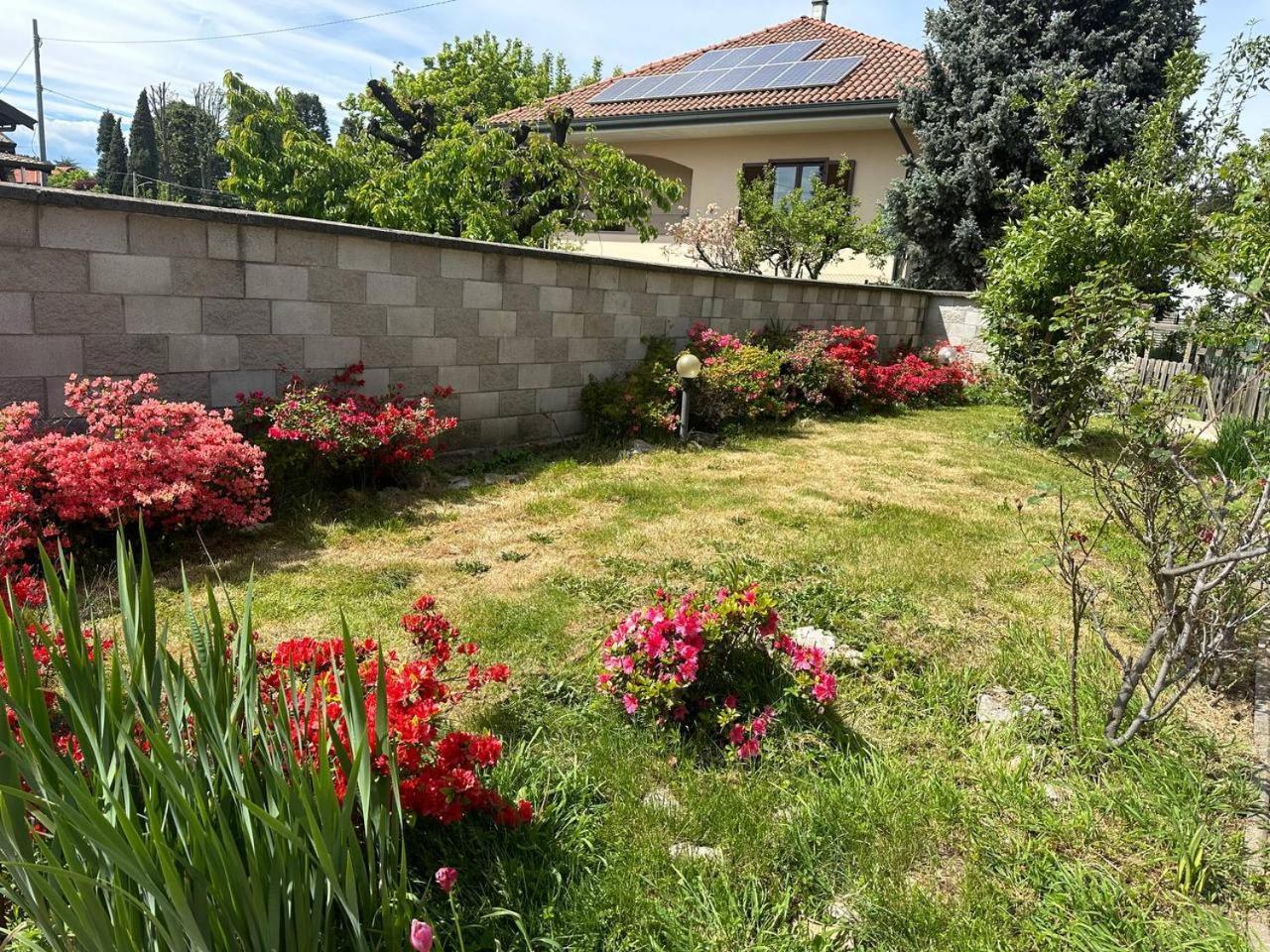 Apartment Il Laghetto - Residenza